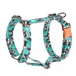 Boston Terrier, kék - Kutyahám és Macskahám - Boston Terrier, blue - april & june