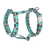 Boston Terrier, kék - Kutyahám és Macskahám - Boston Terrier, blue - april & june