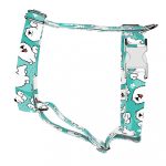 Szamojéd, kék - Kutyahám és Macskahám - Samoyed, blue - april & june