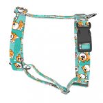 Shiba Inu, blue - Dog Harness or Cat Harness - april & june