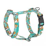 Shiba Inu, blue - Dog Harness or Cat Harness - april & june