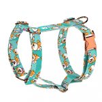 Shiba Inu, blue - Dog Harness or Cat Harness - april & june