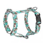 Shih Tzu, blue - Dog Harness or Cat Harness - april & june