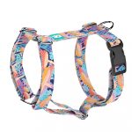 Vicces Gombás - Kutyahám és Macskahám -Trippy Mushrooms - april & june