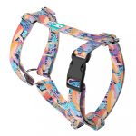 Vicces Gombás - Kutyahám és Macskahám -Trippy Mushrooms - april & june