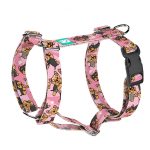 Yorkshire terrier, Yorki, rózsaszín - Kutyahám és Macskahám - pink - april & june