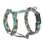 Vizsla, kék - Kutyahám és Macskahám - blue - april & june