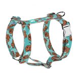 Vizsla, kék - Kutyahám és Macskahám - blue - april & june