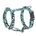 Border collie, kék - Kutyahám és Macskahám - blue - april & june