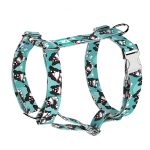 Border collie, kék - Kutyahám és Macskahám - blue - april & june