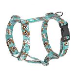 Jack Russell Terrier, blue - Dog Harness or Cat Harness - april & june