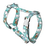 Bull Terrier, blue - Dog Harness or Cat Harness - april & june