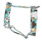 Spitz, blue - Dog Harness or Cat Harness - april & june