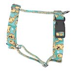 Golden retriever, kék - Kutyahám és Macskahám - Golden retriever, blue - april & june