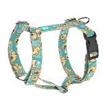 Golden retriever, kék - Kutyahám és Macskahám - Golden retriever, blue - april & june