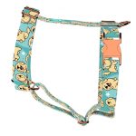 Golden retriever, kék - Kutyahám és Macskahám - Golden retriever, blue - april & june