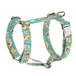 Golden retriever, kék - Kutyahám és Macskahám - Golden retriever, blue - april & june