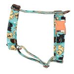 Labrador retriever, kék - Kutyahám és Macskahám - blue - april & june