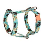 Labrador retriever, kék - Kutyahám és Macskahám - blue - april & june