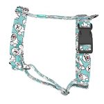 Bolognese, blue - Dog Harness or Cat Harness - april & june