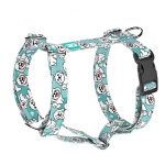 Bolognese, blue - Dog Harness or Cat Harness - april & june