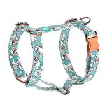 Bolognese, blue - Dog Harness or Cat Harness - april & june