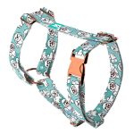 Bolognese, blue - Dog Harness or Cat Harness - april & june