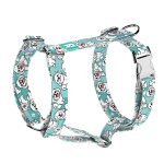 Bolognese, blue - Dog Harness or Cat Harness - april & june