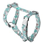 Bolognese, blue - Dog Harness or Cat Harness - april & june