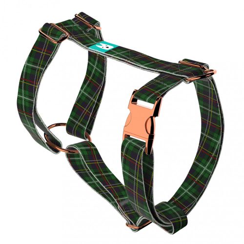 Klasszikus Zöld Kockás - Kutyahám és Macskahám - Classic Christmas Tartan Green - april & june