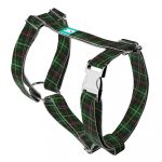Klasszikus Zöld Kockás - Kutyahám és Macskahám - Classic Christmas Tartan Green - april & june
