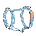 Hattyúk - Kutyahám és Macskahám - Swans - april & june