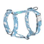 Hattyúk - Kutyahám és Macskahám - Swans - april & june