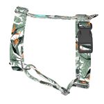 Papagájvirág - Kutyahám és Macskahám - Strelitzia - april & june