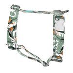 Papagájvirág - Kutyahám és Macskahám - Strelitzia - april & june