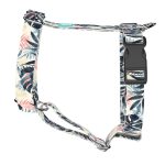 Kék és rózsaszín trópusi levelek - Kutyahám és Macskahám - Blue and Pink Tropical Leaves - april & june