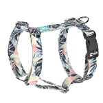 Kék és rózsaszín trópusi levelek - Kutyahám és Macskahám - Blue and Pink Tropical Leaves - april & june