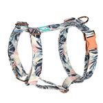 Kék és rózsaszín trópusi levelek - Kutyahám és Macskahám - Blue and Pink Tropical Leaves - april & june