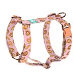 Fánkok - Kutyahám és Macskahám - Donuts - april & june