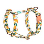 Mangó - Kutyahám és Macskahám - Mango - april & june