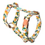 Mangó - Kutyahám és Macskahám - Mango - april & june