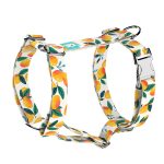 Mangó - Kutyahám és Macskahám - Mango - april & june