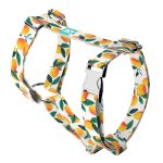 Mangó - Kutyahám és Macskahám - Mango - april & june