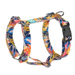 Színes nyári este - Kutyahám és Macskahám - Colorful summer nights - april & june