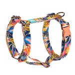 Színes nyári este - Kutyahám és Macskahám - Colorful summer nights - april & june