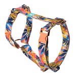 Színes nyári este - Kutyahám és Macskahám - Colorful summer nights - april & june