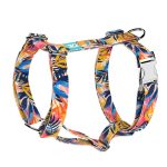 Színes nyári este - Kutyahám és Macskahám - Colorful summer nights - april & june