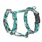 Cardigan Welsh Corgi, kék - Kutyahám és Macskahám - Cardigan Welsh Corgi, blue - april & june