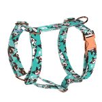 Cardigan Welsh Corgi, kék - Kutyahám és Macskahám - Cardigan Welsh Corgi, blue - april & june