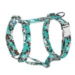 Cardigan Welsh Corgi, kék - Kutyahám és Macskahám - Cardigan Welsh Corgi, blue - april & june